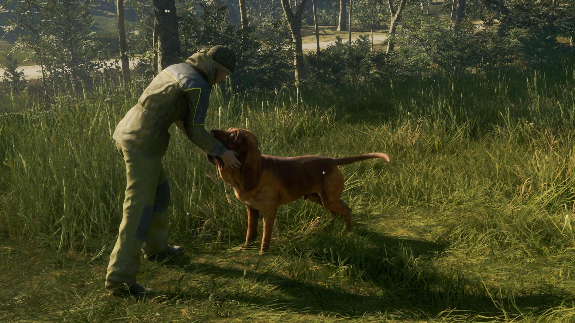De 5 bedste DLC-kort i theHunter: Call of the Wild – Hvilke er pengene værd i 2026?